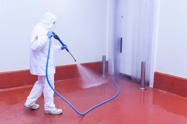 Best House Exterior Washing  in Fredonia, NY